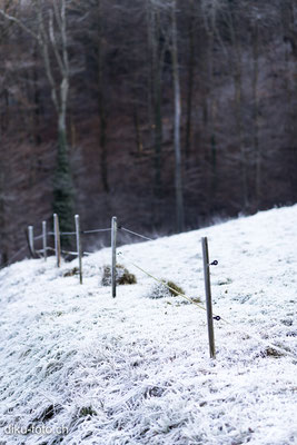 Weg durch die Ermitage