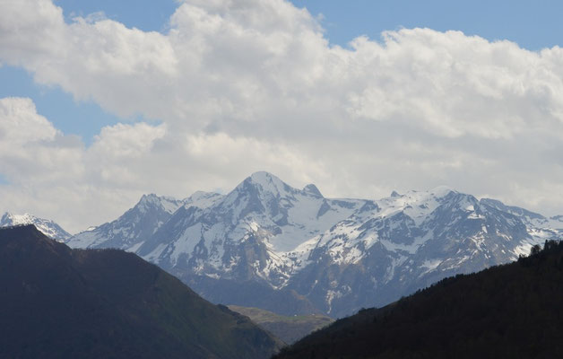 Temps couvert (puis devenu très orageux en cours d'après-midi), les rapaces ne sont pas bien nombreux à voler dans le ciel ossalois...