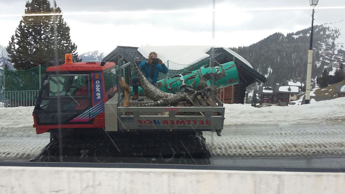 Greenhorn, Bettmeralp, 2016 auf dem Heimweg zusammen mit Joschi