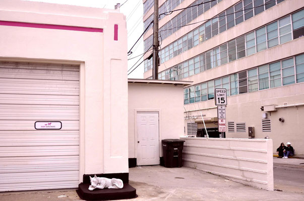 "On Parking" - Charleston, South Carolina - fotografia di Vittorio Ferorelli