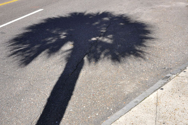 "On Parking" - Charleston, South Carolina - fotografia di Vittorio Ferorelli