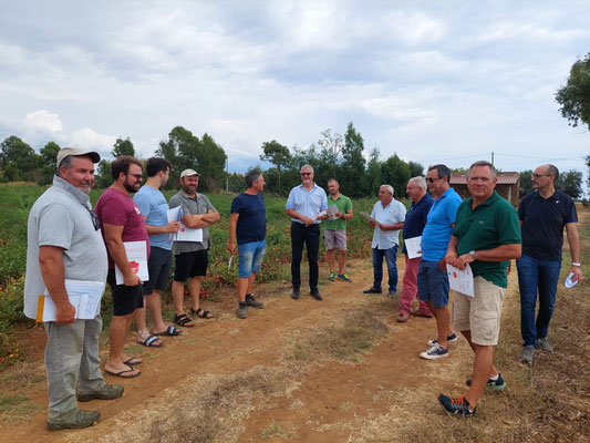 alcuni momenti della visita guidata presso il campo dell'azienda agricola aderente all'OP COT