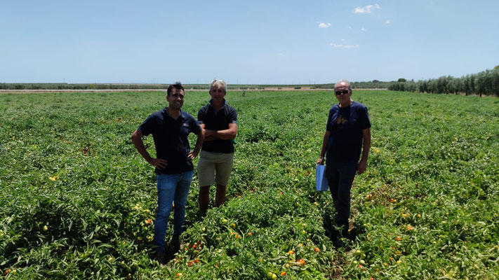 Visita campo sperimentale Manfredonia (FG) Op APOM. 19.7.22