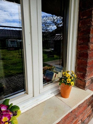 fenster