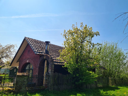 backhaus