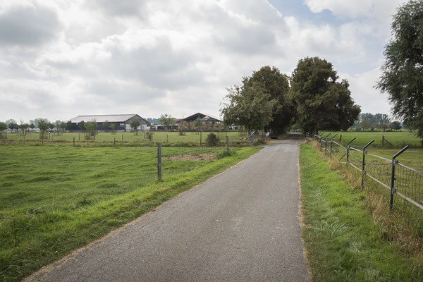 Lindenallee