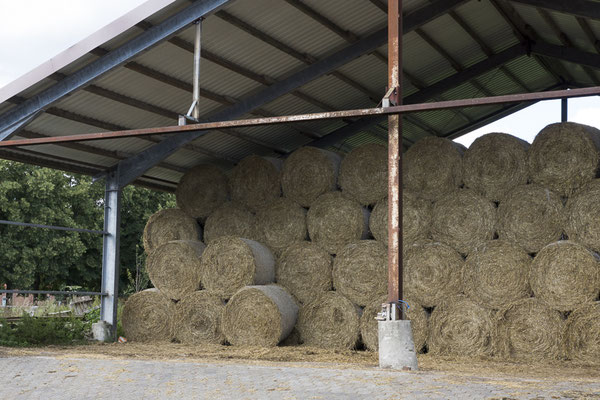 Schon ein paar Ballen Heu fertig für den Winter