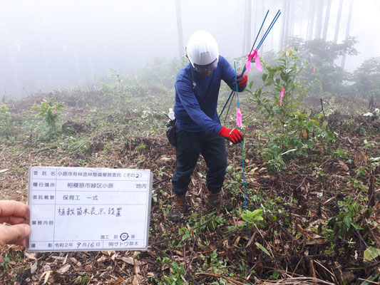 植えた苗木を守ります