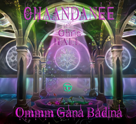 Release 2019, Single by 1.2.TripRecords, PsyTrance