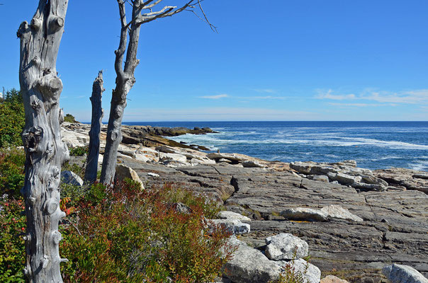 Küste bei Boothbay Harbor (Ocean Point Rd.), Maine