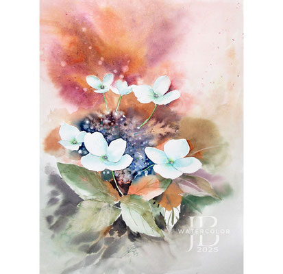 Hydrangea III 2025 (1) 30x40cm / Watercolour by ©janinaB.