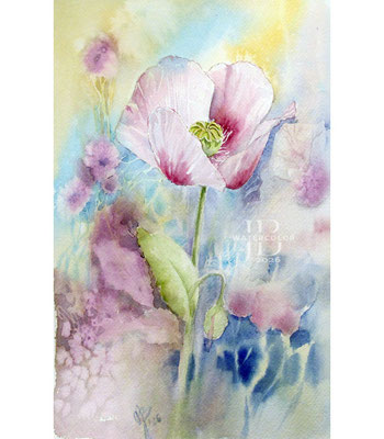 Papaver-II-2026 / Watercolor by ©janinaB.