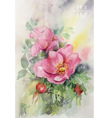 beach rose I 2026 / Watercolor by ©janinaB.