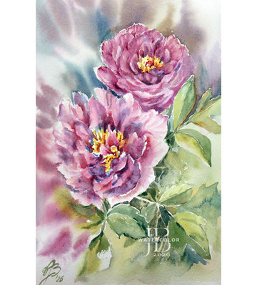 Peonies I 2026 / Watercolor by ©janinaB.