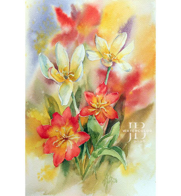 Tulips I 2026 / Watercolor by ©janinaB.