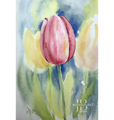 Tulips II 2026 / Watercolor by ©janinaB.