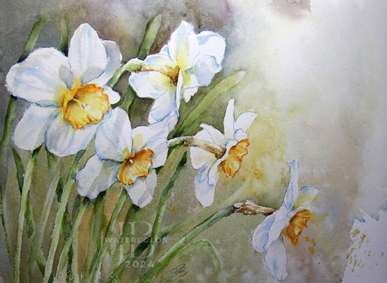 Daffodils I 2024 (T2) 30x40cm / Watercolour by ©janinaB.