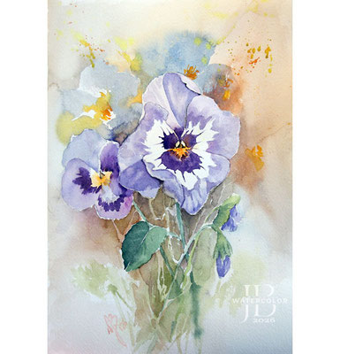 Pansy I 2026 / Watercolor by ©janinaB.