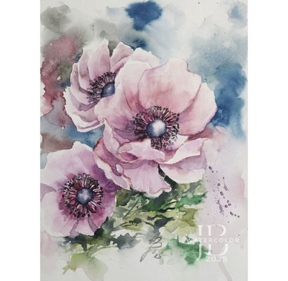 Anemonen I 2025 / Watercolour by ©janinaB.