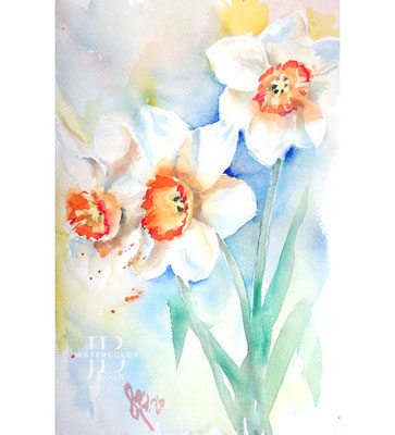 daffodils-III-2026 / Watercolor by ©janinaB.