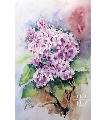 Lilac I 2026 / Watercolor by ©janinaB.