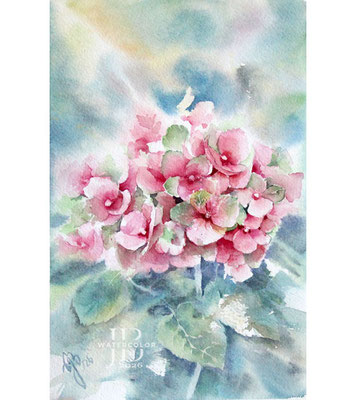 Hydrangea-VII-2026 (AB7)
