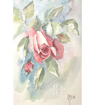 Rose-III-2026 / Watercolor by ©janinaB.