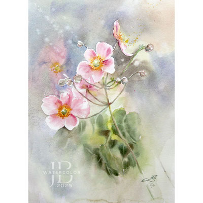 Japanese anemones I 2025 (1) 30x40cm / Watercolour by ©janinaB.
