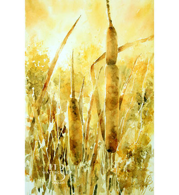 meadow-of-gold-I-2026
