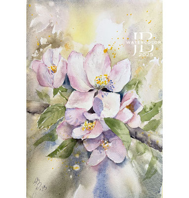 apple blossom I 2025 20x30cm  / Watercolour by ©janinaB.