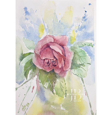 Rose II 2026 20x30cm / Watercolor by ©janinaB.