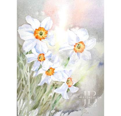Daffodils I 2025 (T2) 30x40cm / Watercolour by ©janinaB.