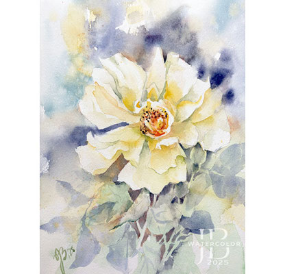 Rose IV 2025  / Watercolour by ©janinaB.