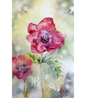 Anemone-II-2026-(AB8)