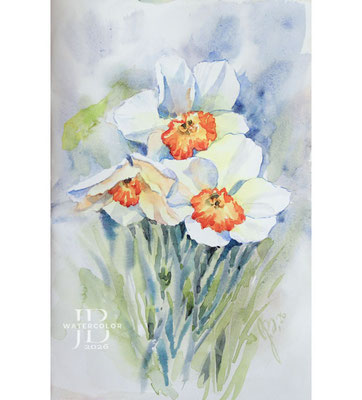 daffodils-II-2026 / Watercolor by ©janinaB.