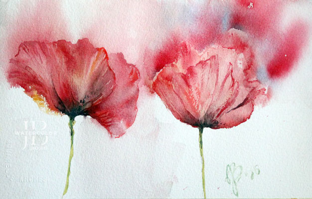 Poppies-III-2026-(AB7)