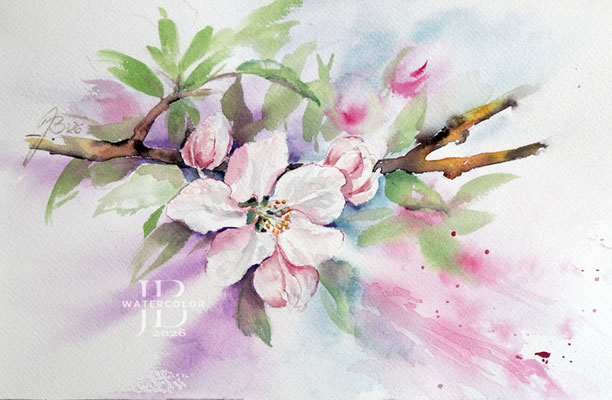 apple blossoms I 2026 / Watercolor by ©janinaB.