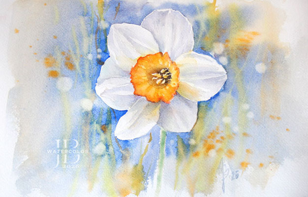 Daffodil I 2026 / Watercolor by ©janinaB.