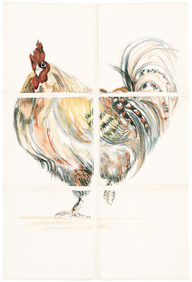 Original Style // Serie: Birds, Bugs and Animals