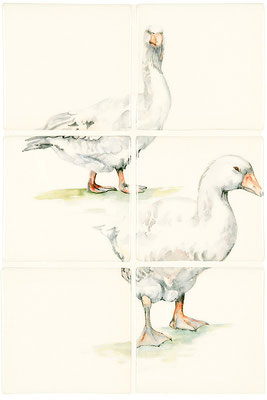Original Style // Serie: Birds, Bugs and Animals
