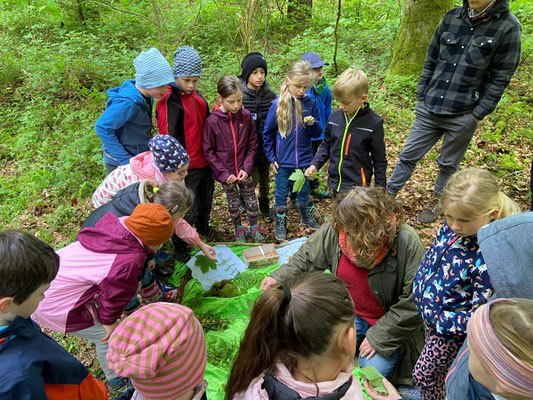 Die Kinder zeigen ihre selbstgefundenen Ahornblätter