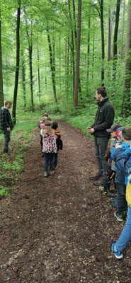 Die Schüler gehen in einer Schlange auf einem Waldweg entlang