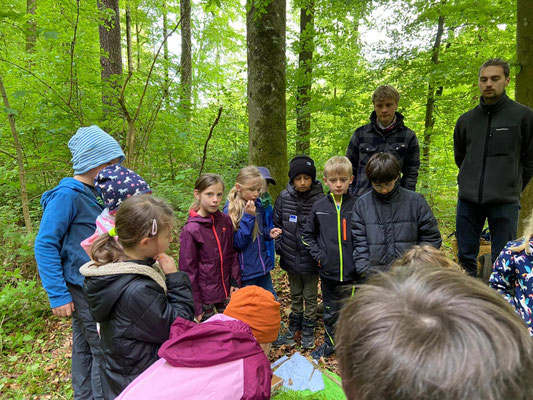 Die Schüler stehen im Kreis im Wald