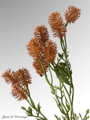 Eryngium artificiel haut de gamme