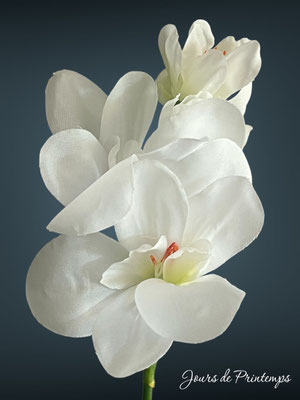 freesia artificiel