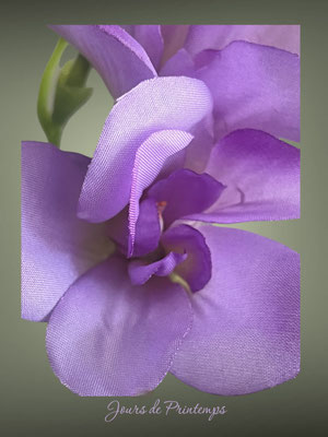 freesia artificiel