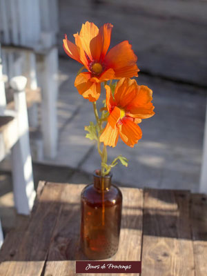 Cosmos Artificiel Jours de Printemps