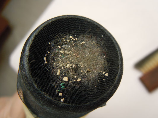 I am to clean it. So I get out the hoover first to rid the surface of any loose particles considered "dirt".