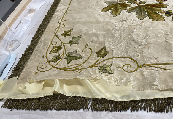 conservation project