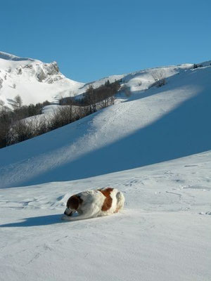 Col d'arrioutort en Hiver